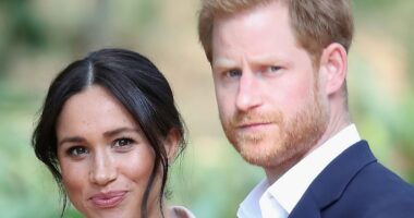 Meghan Markle aides claim she had an 'infinite capacity for revenge'