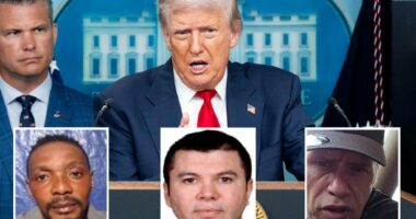 Mexico sends 26 'fugitive' cartel members to US in deal with Trump admin