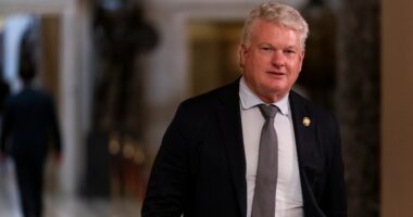 Mike Collins rolls out 159-county organization in Georgia Senate bid