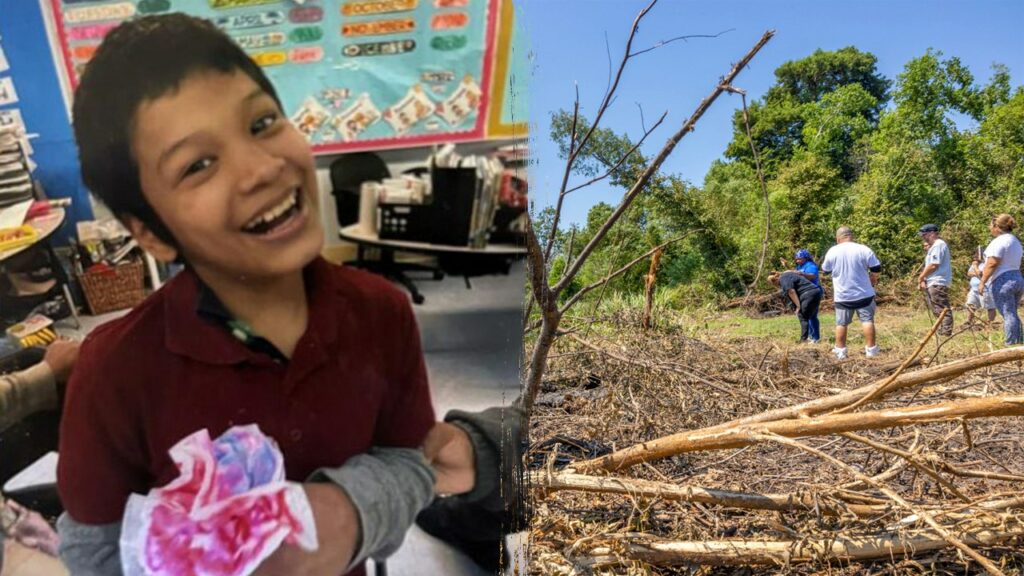 Missing New Orleans boy, 12, died after alligator attack, drowning: authorities