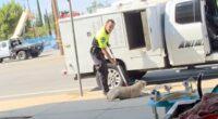 Moment animal control officer drags dog by neck and throws him in van
