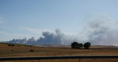 Smoke from a wildfire near Bolonia beach in Tarifa, Spain.