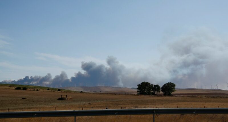 Smoke from a wildfire near Bolonia beach in Tarifa, Spain.