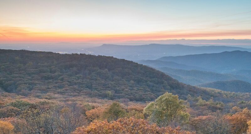 Mountain town rocked after country singer's mom murdered in random home invasion