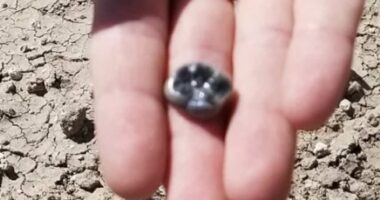 Mysterious species found living alongside our earliest ancestors