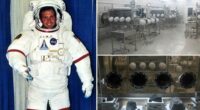 NASA intern stole $21M of Lunar to use during sex to have 'sex on the moon'
