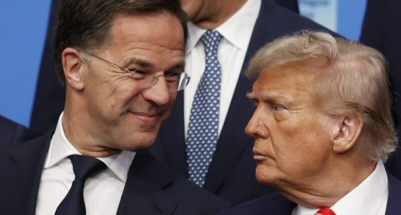 NATO chief on whether Trump is at risk of rewarding Russia for invading Ukraine: 'I don’t think the risk is there'