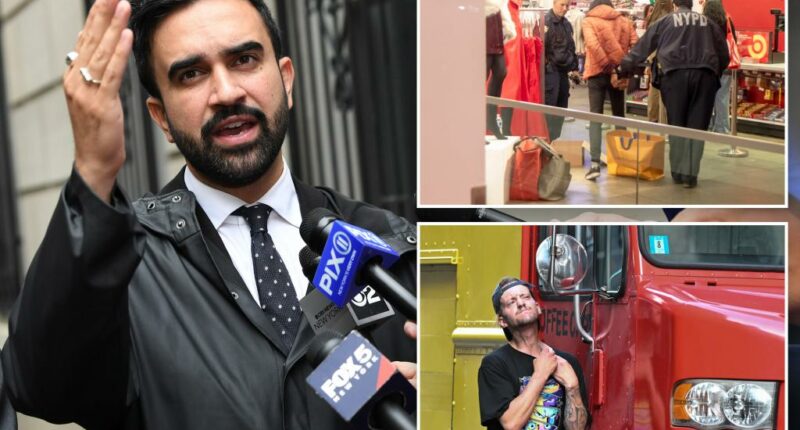 NYC mayoral candidate Zohran Mamdani wants to end all misdemeanor charges: 'E-ZPass for criminals'