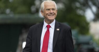 Navarro on jobs report: 'It's either incompetence or political interference'