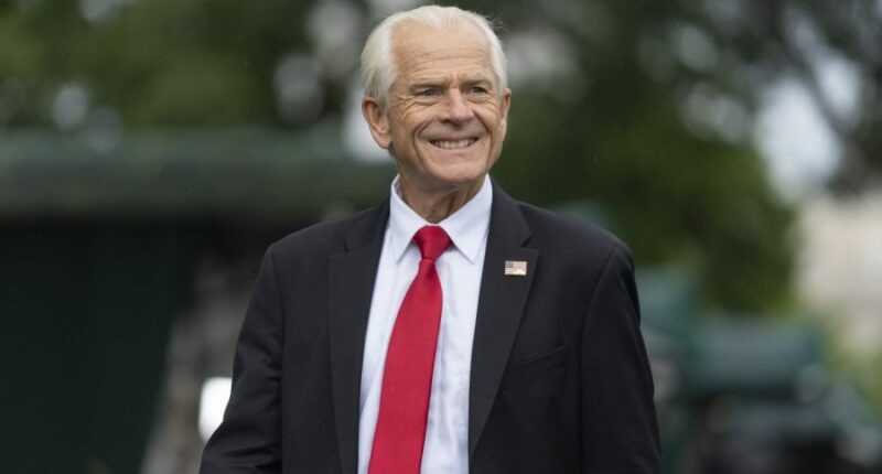 Navarro on jobs report: 'It's either incompetence or political interference'
