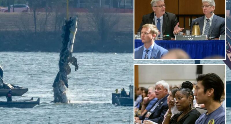 Night vision goggles may have hampered helicopter pilots before crash with jet, experts tell NTSB