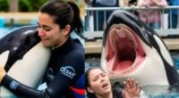 Orca Trainer Jessica Radcliffe Incident: Is She Still Alive? Find Out