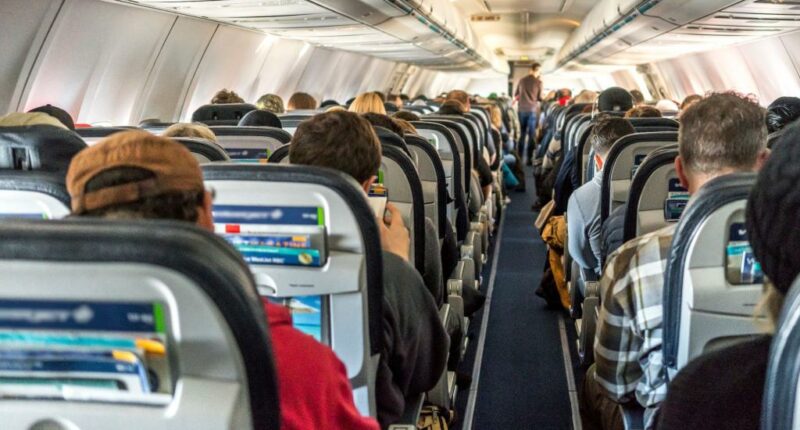 Passenger's plane etiquette divides internet after blowup over middle seat