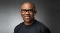 Peter obi pdp