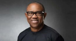 Peter obi pdp
