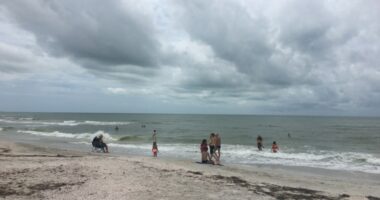 Pinellas businesses still struggling after 2024 hurricanes, push for local tourism