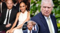 Prince Harry responds to claims he had bloody brawl with Prince Andrew over Meghan Markle remarks