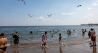People cooling off in the ocean at Coney Island beach.