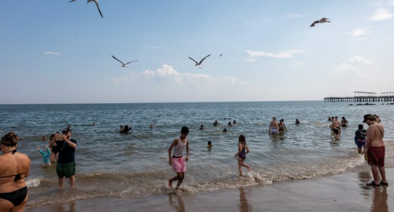 People cooling off in the ocean at Coney Island beach.