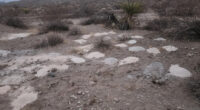 Questions Loom After 70 Piles of Ashes Are Discovered in Desert