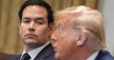 Rubio to head commission on Ukraine security guarantees