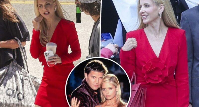 Sarah Michelle Gellar returns as ‘Buffy the Vampire Slayer’ on reboot set