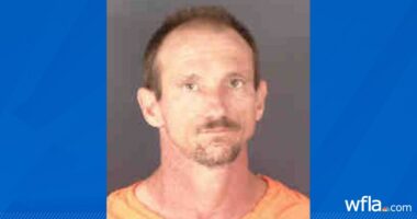 Sarasota man who starved dog to death gets maximum possible sentence