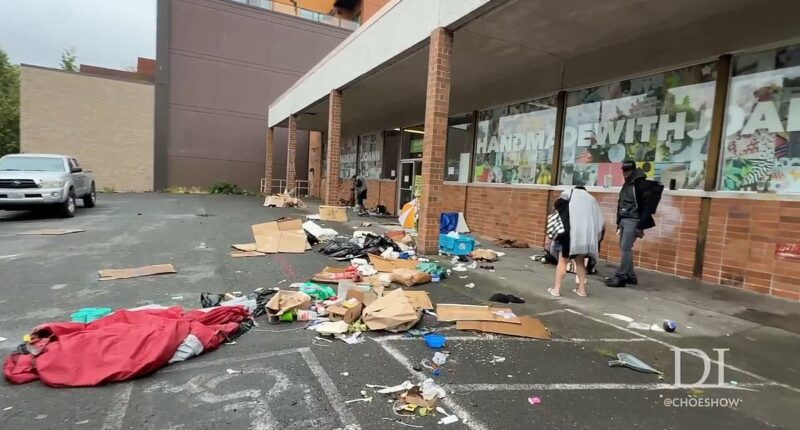Seattle 'PUNISHES' man whose property was taken over by vagrants