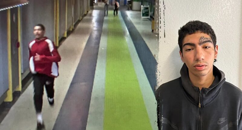 Second inmate in three months escapes Seattle airport custody, caught on video without restraints