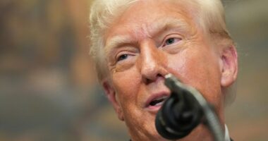 Senate leaving Russia sanctions power fully in Trump’s hands
