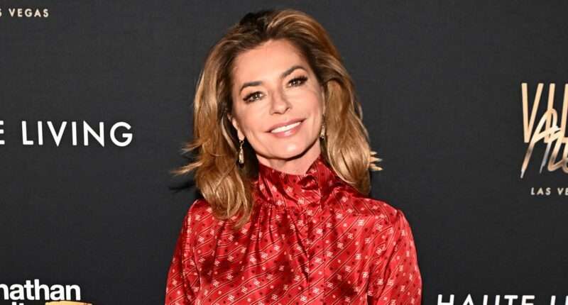 Shania Twain strips down to her underwear to mark 60th birthday