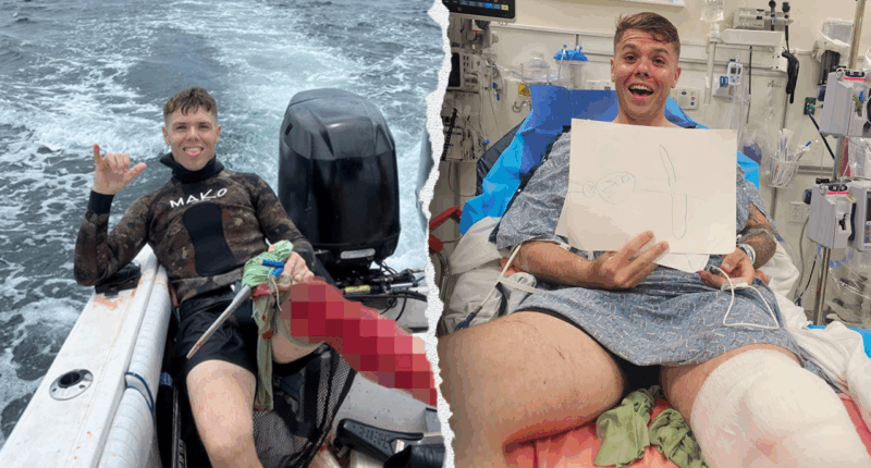 'Sharks won’t do anything to you': Florida spearfisherman attacked by shark minutes after reassuring family