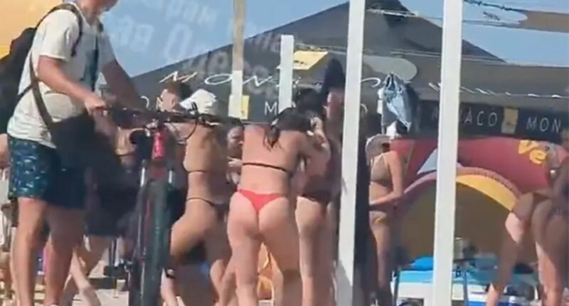 Beach brawl over Russian music.