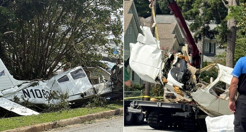 Small aircraft plummets into Georgia neighborhood, leaves 3 injured