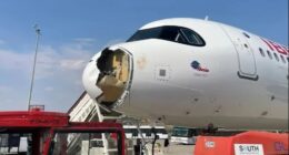 Airbus A321neo XLR with bird strike damage to nose.