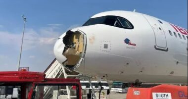 Airbus A321neo XLR with bird strike damage to nose.