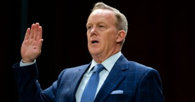 Spicer: Trump admin ‘going to piss off’ MAGA base on Obama claims ‘if they don’t act’