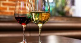 St. Petersburg wine bar named one of the best in the country: report