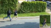 Teens jailed for 'sadistic' torture and murder of kittens in London