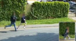 Teens jailed for 'sadistic' torture and murder of kittens in London