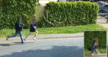 Teens jailed for 'sadistic' torture and murder of kittens in London