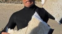 Surfer holding a shark-damaged surfboard.