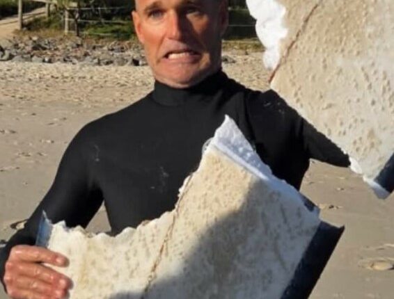 Surfer holding a shark-damaged surfboard.