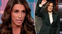 'The View' describes Harris interview as 'microcosm of everything that's wrong' with Dems