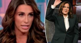 'The View' describes Harris interview as 'microcosm of everything that's wrong' with Dems