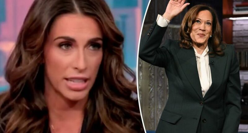 'The View' describes Harris interview as 'microcosm of everything that's wrong' with Dems