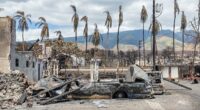 The devastating reality behind surge in deaths on Hawaiian island