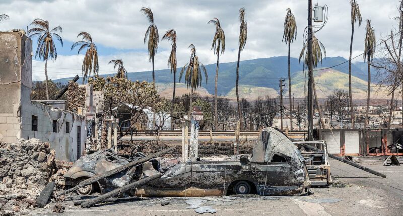 The devastating reality behind surge in deaths on Hawaiian island