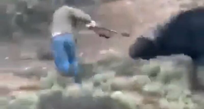 The hunters killed by the very beasts they were hoping to slay