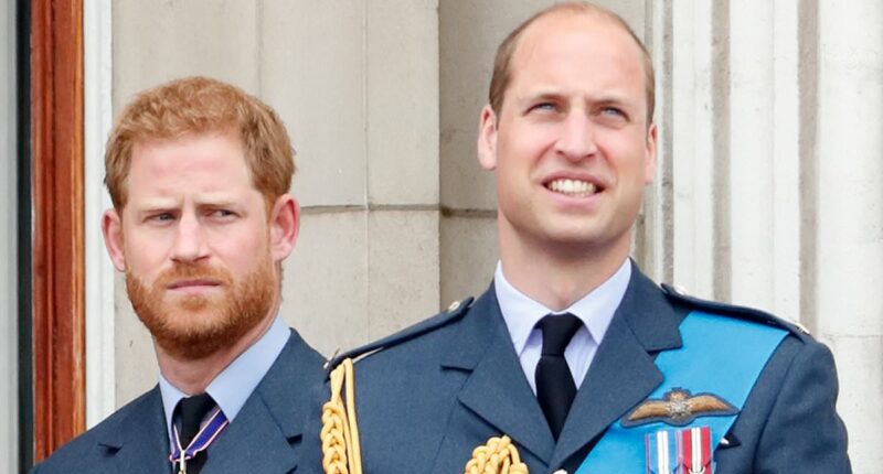 The reason Harry and William won't inherit Diana's childhood home